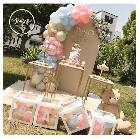 revelacion de genero